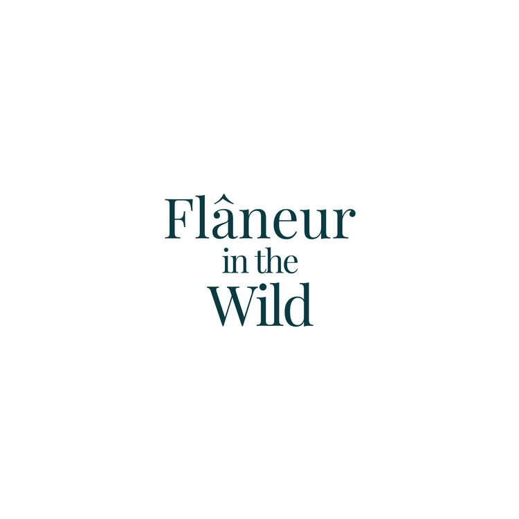 Flâneur in the Wild